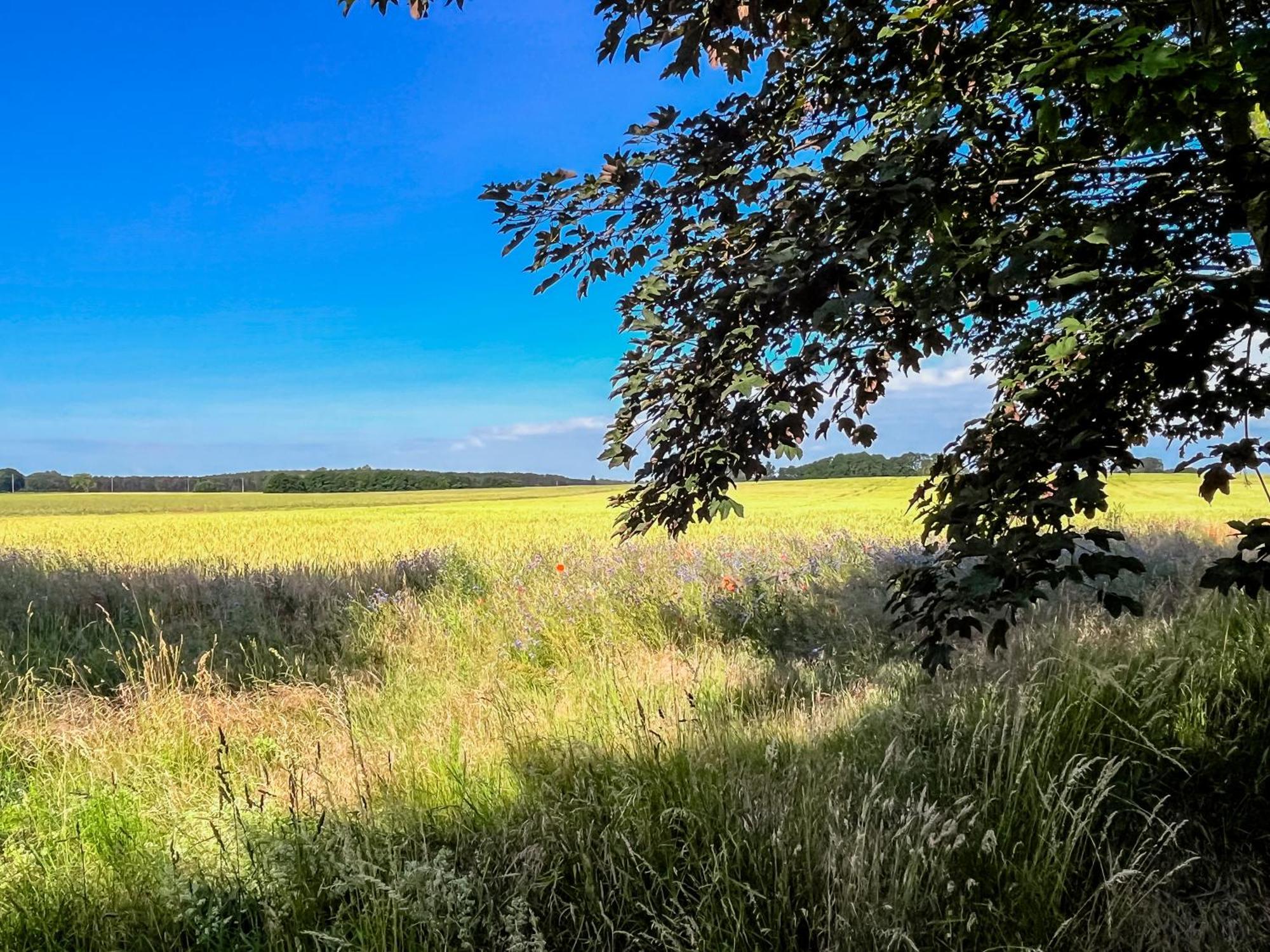 Lerchenhof In Reestow Lägenhet Exteriör bild