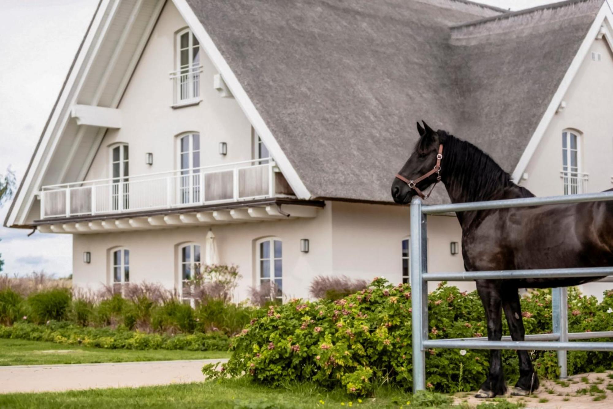 Lerchenhof In Reestow Lägenhet Exteriör bild