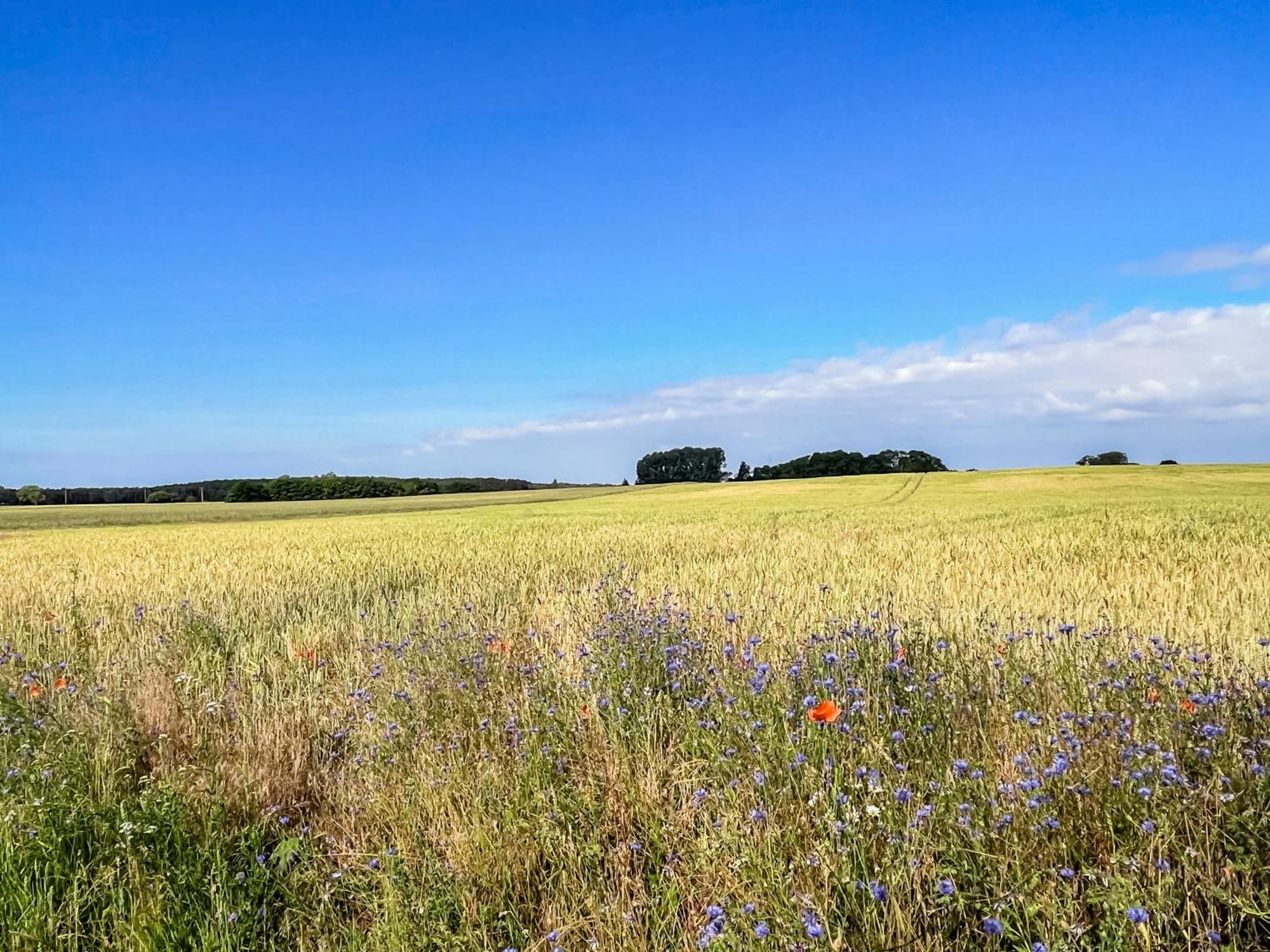 Lerchenhof In Reestow Lägenhet Exteriör bild